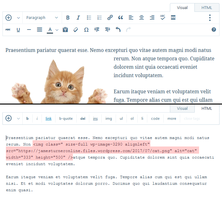 Comparison of Wordpress visual editor and text editor (with a cat image!)